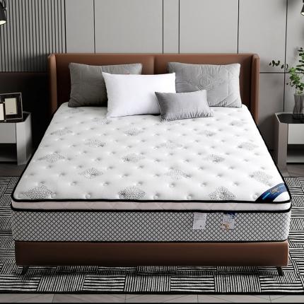 时奥 2021新款-弹簧床垫 享睡