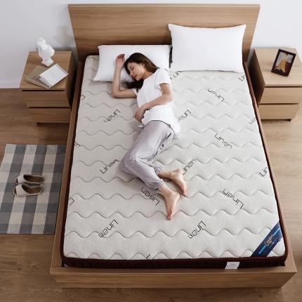 时奥 2021新款椰棕床垫(包邮) W2
