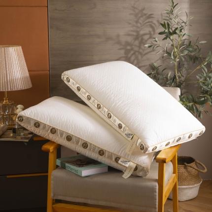 91家纺网 家纺一手货源 找家纺 （总）枕之坊 2021新款回归天然大豆羽丝枕48×74cm