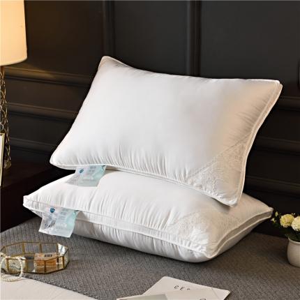 91家纺网 家纺一手货源 找家纺 枕之坊 2021新款玻尿酸蕾丝花边羽丝枕48×74cm 雪白色