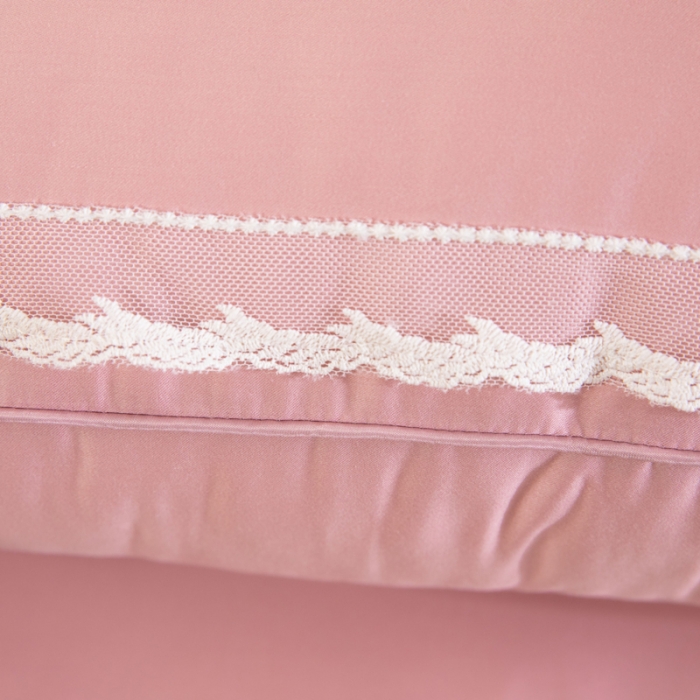 91家纺网 家纺一手货源 找家纺 (总)枕之坊 2021新款玻尿酸蕾丝水钻羽丝枕48×74cm