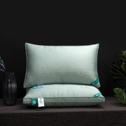 91家纺网 家纺一手货源 找家纺 (总) 枕之坊 2021新款深海蛋白羽丝枕48×74cm