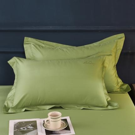 甜之梦 新款13374经典工艺款纯色长绒棉枕套一对 果绿