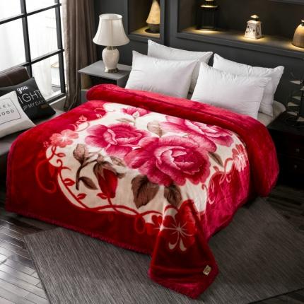 丹兰家纺 双层加厚拉舍尔毛毯冬季保暖毛毯被 240大红