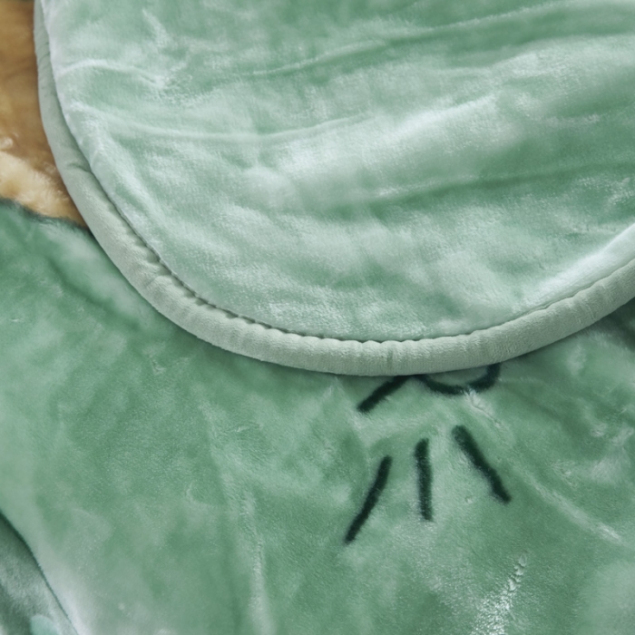 91家纺网 家纺一手货源 找家纺 （总）凯轩毛毛毯毯子 儿童云毛毯毯子系列不二家