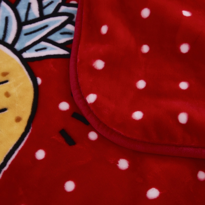 91家纺网 家纺一手货源 找家纺 凯轩毛毛毯毯子 儿童云毛毯毯子系列不二家 菠萝-红