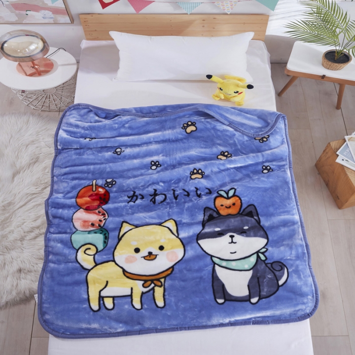 91家纺网 家纺一手货源 找家纺 凯轩毛毛毯毯子 儿童云毛毯毯子系列不二家 小双