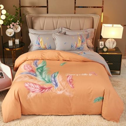 雲归梦 2021新款全棉大版生态磨毛四件套第二批 炫羽桔