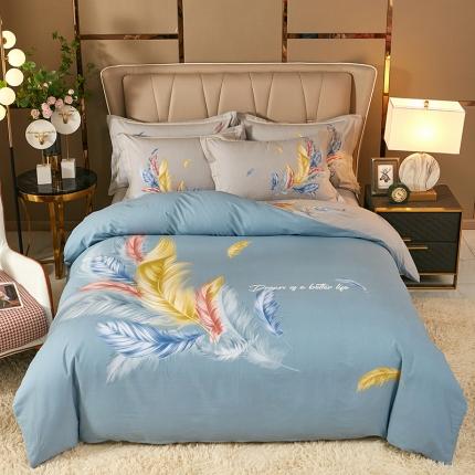 雲归梦 2021新款全棉大版生态磨毛四件套第二批 炫羽绿