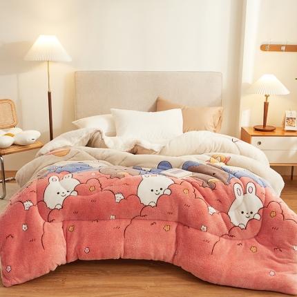 91家纺网 家纺一手货源 找家纺 （总）佰亿莱 2024新款双面绒A版雪花绒B版羊羔绒冬被