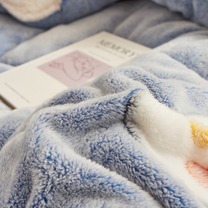 91家纺网 家纺一手货源 找家纺 佰亿莱 2024新款双面绒A版雪花绒B版羊羔绒冬被 泰迪熊