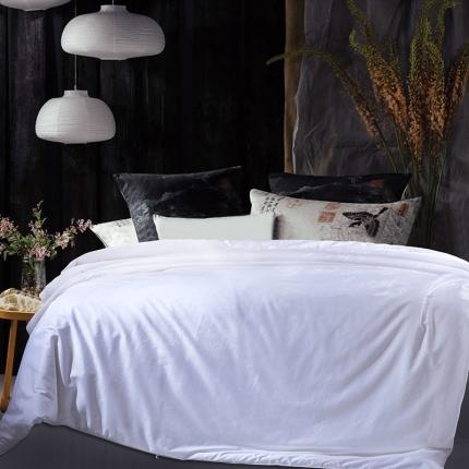 91家纺网 家纺一手货源 找家纺 香夫 2021新款6060迎春纯蚕丝被 白色