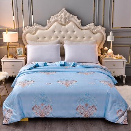 91家纺网 家纺一手货源 找家纺 易博 热卖全棉印花夏被冬被春秋被子夏凉被蓝雨