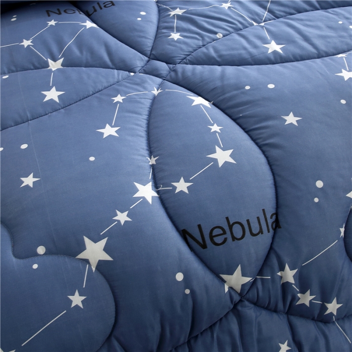 91家纺网 家纺一手货源 找家纺 畅销被业2021新款印花冬被被子被芯 摩登舞步