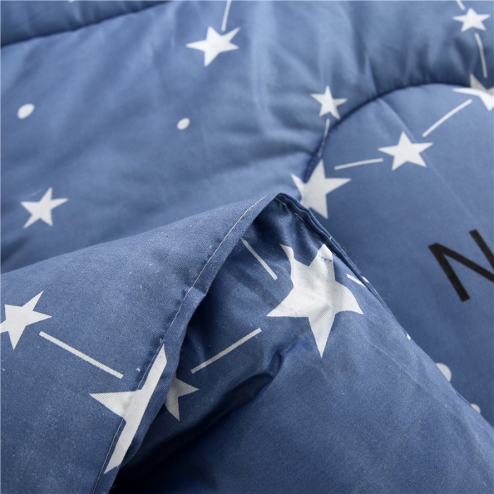 91家纺网 家纺一手货源 找家纺 畅销被业2021新款印花冬被被子被芯 摩登舞步