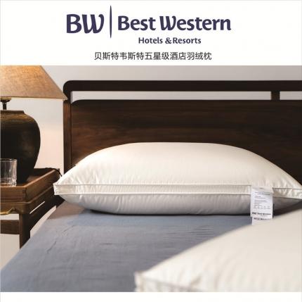 BWBestWestern贝斯特韦斯特 酒店羽绒枕 鹅绒枕 枕头枕芯