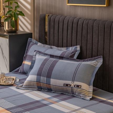 91家纺网 家纺一手货源 找家纺 凯磊 2021新款.加厚磨毛单枕套一只 青春小调