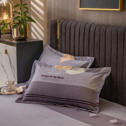 91家纺网 家纺一手货源 找家纺 凯磊 2021新款.加厚磨毛单枕套一对 漫步时光