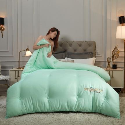 91家纺网 家纺一手货源 找家纺 天瑜家纺 2023洛卡棉冬被秋冬被子丝棉被芯 大豆被-水绿