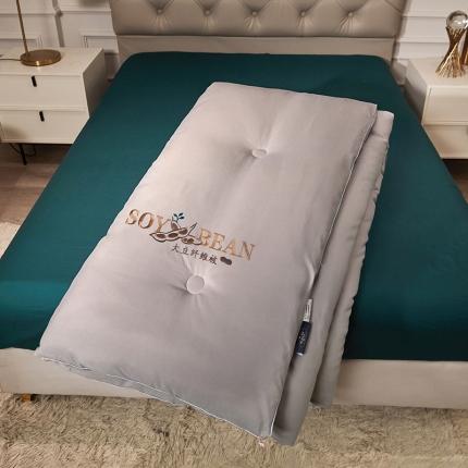 天瑜家纺 2023洛卡棉冬被秋冬被子丝棉被芯 大豆被-灰色