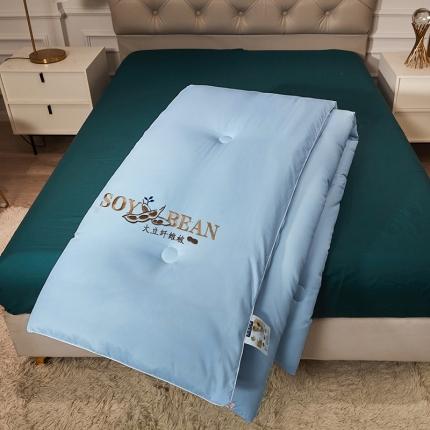 天瑜家纺 2023洛卡棉冬被秋冬被子丝棉被芯 大豆被-浅兰