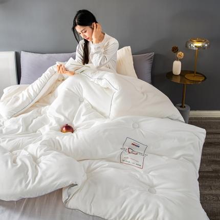 被靠被 2023白金双合芯牛奶蛋白大豆蛋白冬被春秋被 白色