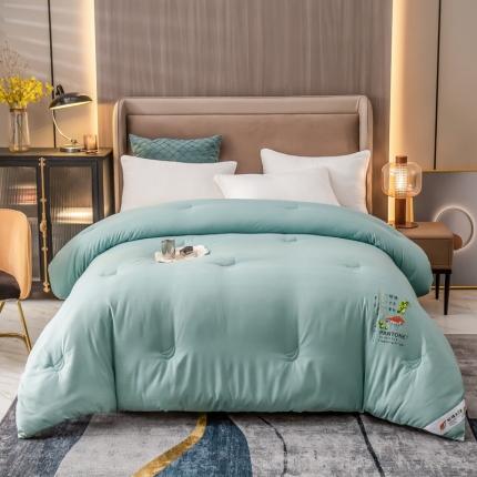 91家纺网 家纺一手货源 找家纺 （总）伊人居2021新款提花面料珍珠绒大豆纤维被