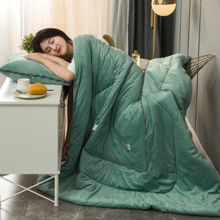 照世家2021新款水晶绒抱枕-贴布绣 薄荷绿