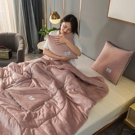 照世家2021新款水晶绒抱枕-贴布绣 豆沙