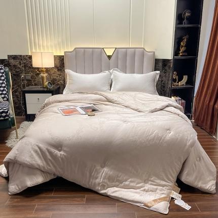 91家纺网 家纺一手货源 找家纺 桂雅居2021新款铂金大豆二合一子母被 摩卡金