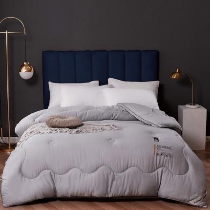 寐居 2021新款长绒棉A类大豆纤维被芯被子冬被 翡翠灰