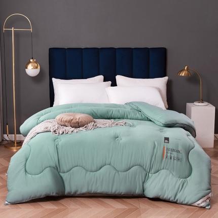 寐居 2021新款长绒棉A类大豆纤维被芯被子冬被 翡翠绿
