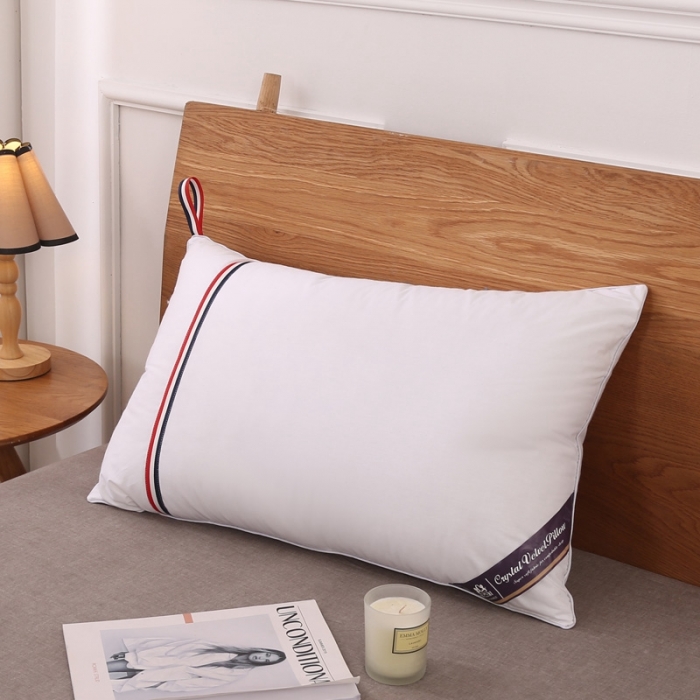 91家纺网 家纺一手货源 找家纺 （总）锦绣万家2021新款全棉双人枕头长枕芯悬挂式羽丝绒枕头