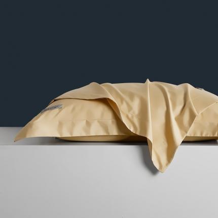 91家纺网 家纺一手货源 找家纺 （总） 8小时家纺 2023新款贡缎长绒棉单枕套一对