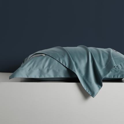 8小时家纺 2023新款贡缎长绒棉单枕套一对 海因蓝