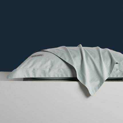 8小时家纺 2023新款贡缎长绒棉单枕套一对 湖泊蓝