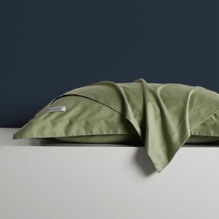 8小时家纺 2023新款贡缎长绒棉单枕套一对 莺茶绿