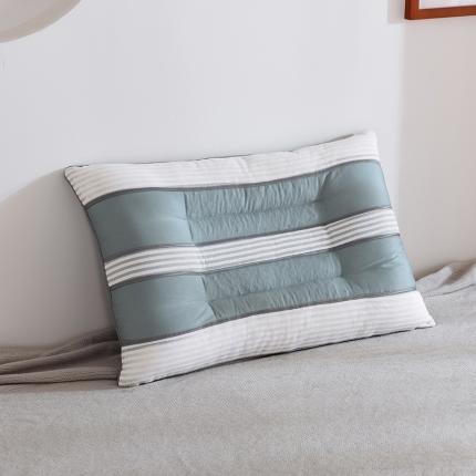 91家纺网 家纺一手货源 找家纺 全棉贡缎+透气网决明子磁石枕 蓝色 粉色