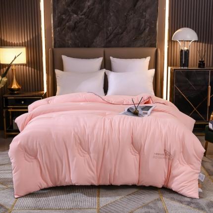 91家纺网 家纺一手货源 找家纺 （总）芯恋 2025新款60支斜纹雅棉大豆纤维被芯冬被春秋