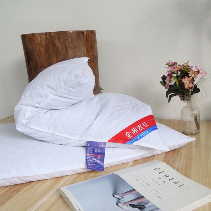 91家纺网 家纺一手货源 找家纺 伟邦2020新款60全棉贡缎全荞麦枕芯一个