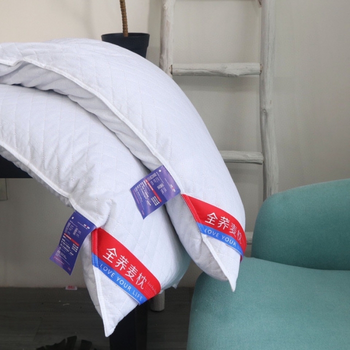 91家纺网 家纺一手货源 找家纺 伟邦2020新款60全棉贡缎全荞麦枕芯一个