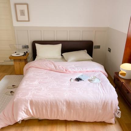 91家纺网 家纺一手货源 找家纺 （总）本希家居 2021新款60s木本大提花大豆被芯