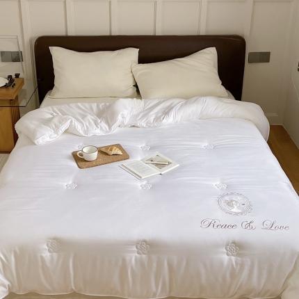 91家纺网 家纺一手货源 找家纺 （总）本希 2021新款公主风抗菌澳绒美肤被芯