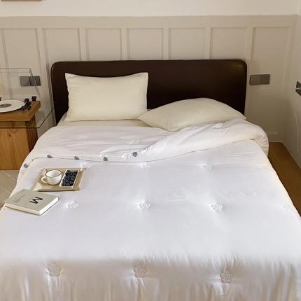 91家纺网 家纺一手货源 找家纺 （总）本希 2021新款小香风抗菌澳绒美肤被芯