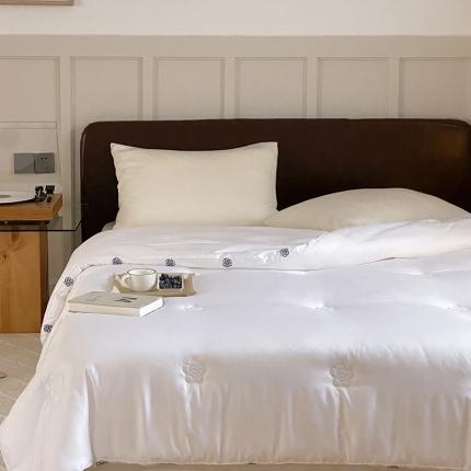 （总）本希 2021新款小香风抗菌澳绒被芯