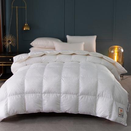 91家纺网 家纺一手货源 找家纺 全棉大提花四周透明水晶面料360度可视鹅绒被羽绒被