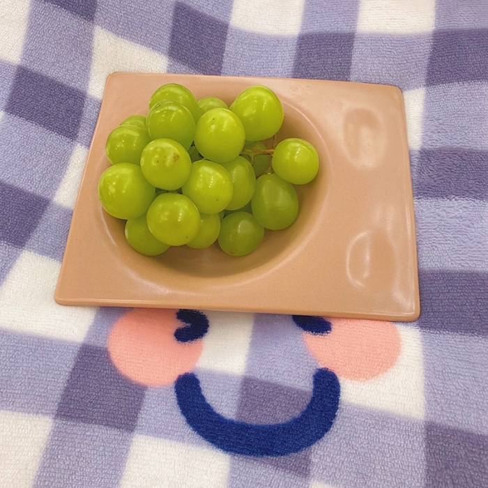 91家纺网 家纺一手货源 找家纺 （总）顾里2021新款ins韩国高端保暖牛奶绒四件套