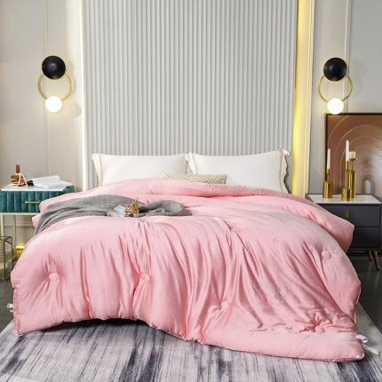 91家纺网 家纺一手货源 找家纺 （总）心悦家纺 2021新款大豆被芯系列