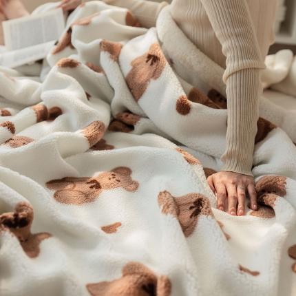 澳梵家居 2021新款ins网红小颗粒羊羔绒双面绒毛毯 布偶熊