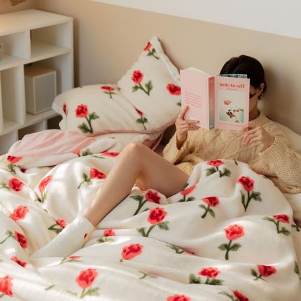 澳梵家居 2021新款ins网红小颗粒羊羔绒牛奶绒绒四件套 清晨玫瑰